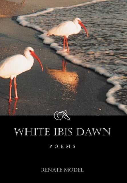 Book cover of: White Ibis Dawn