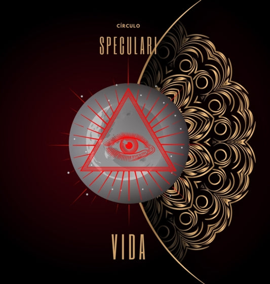 Book cover of: Vida. By: Lua Valentia