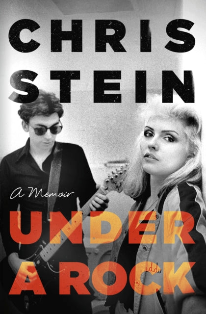 Book cover of: Under A Rock. By: Chris Stein