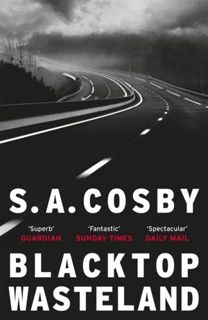 Blacktop Wasteland, the acclaimed and award-winning crime hit of the year