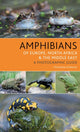 Book cover of: Amphibians of Europe, North Africa and the Middle East. By: Christophe Dufresnes