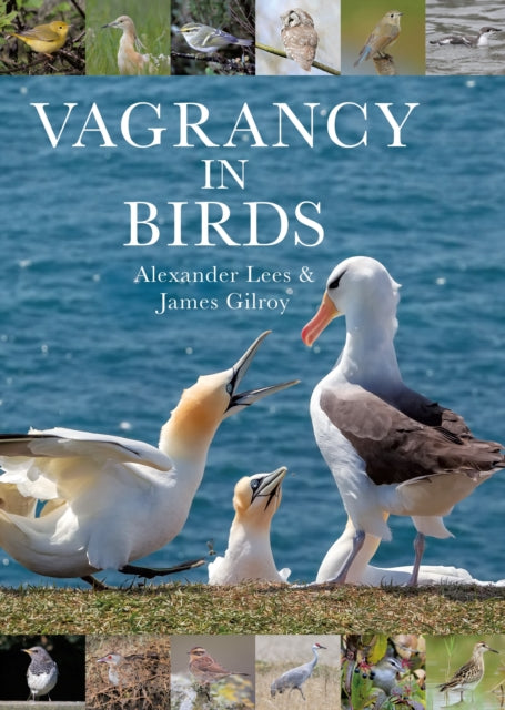 Book cover of: Vagrancy in Birds. By: Alexander Lees