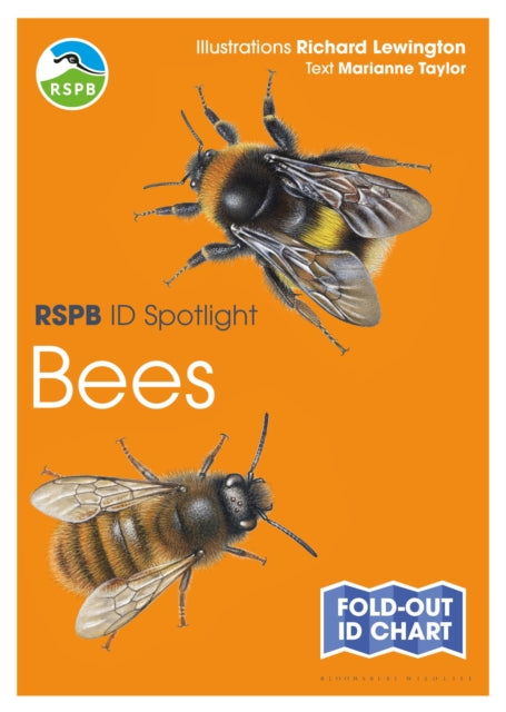 RSPB ID Spotlight - Bees 9781472974273 Marianne Taylor