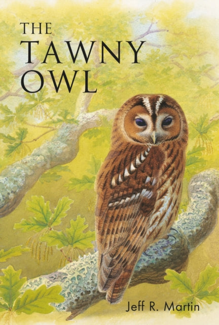 Book cover of: Tawny Owl. By: Jeff Martin