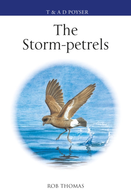 Book cover of: Storm-petrels. By: Rob Thomas