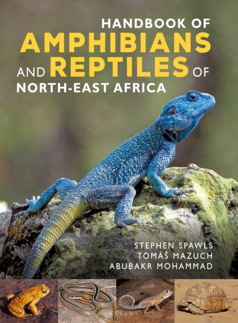 Book cover of: Handbook of Amphibians and Reptiles of North-east Africa. By: Stephen Spawls