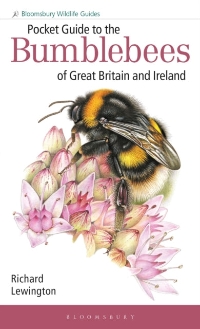 Book cover of: Pocket Guide to the Bumblebees of Great Britain and Ireland. By: Richard Lewington