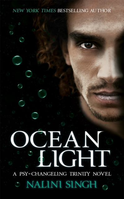Book cover of: Ocean Light