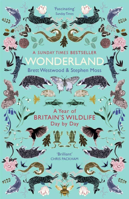 Wonderland