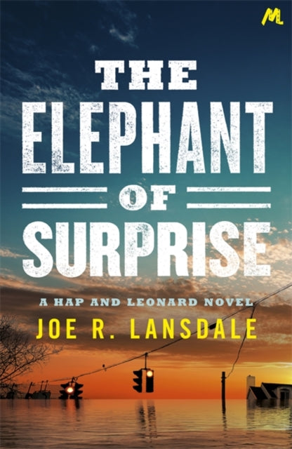 Book cover of: Elephant of Surprise. By: Joe R. Lansdale