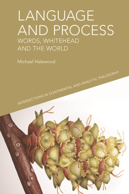 Book cover of: Language and Process. By: Michael Halewood