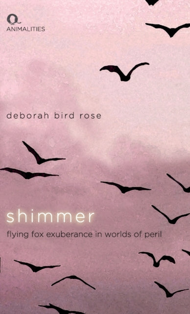 Book cover of: Shimmer. By: Deborah Bird Rose