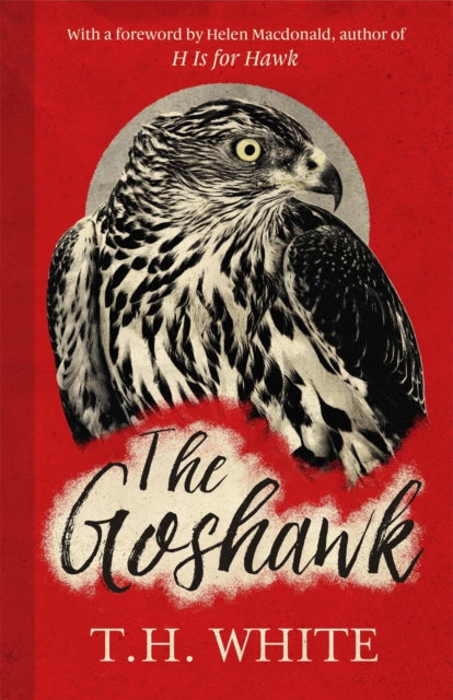 Book cover of: Goshawk. By: Howard Hughes