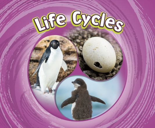 Book cover of: Life Cycles. By: Jaclyn Jaycox
