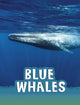 Book cover of: Blue Whales