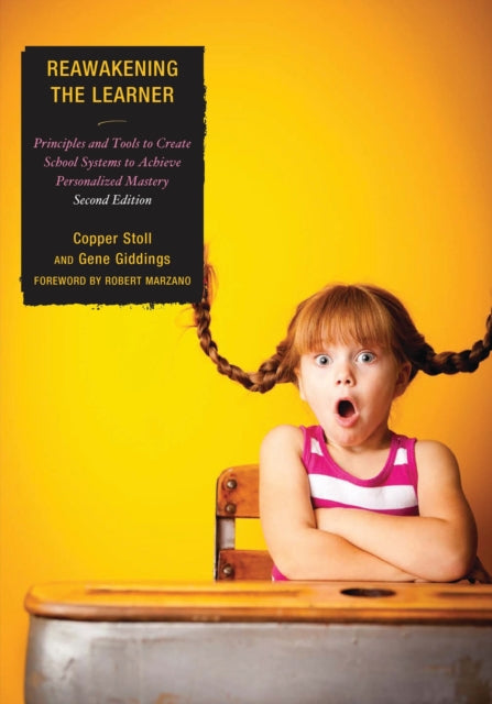 Book cover of: Re-Awakening the Learner. By: Stoll Giddings