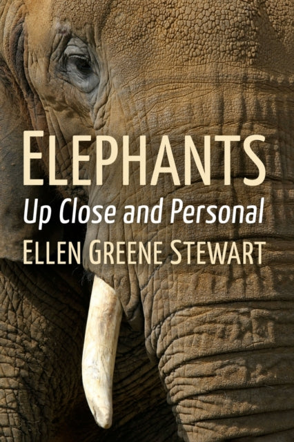 Book cover of: Elephants. By: Ellen Greene Stewart