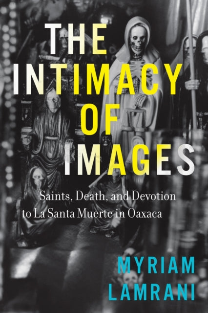 Book cover of: Intimacy of Images. By: Myriam Lamrani