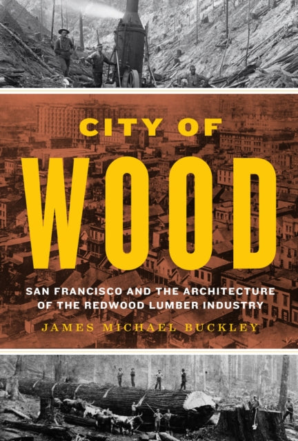 Book cover of: City of Wood. By: James Michael Buckley