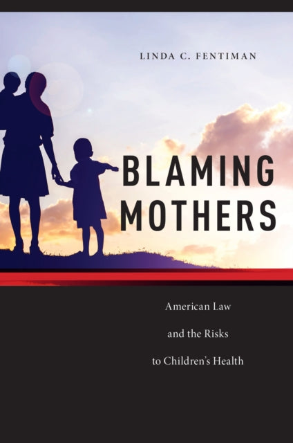 Book cover of: Blaming Mothers. By: Linda C. Fentiman