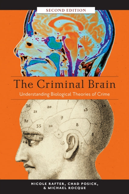Book cover of: Criminal Brain. By: Nicole Rafter