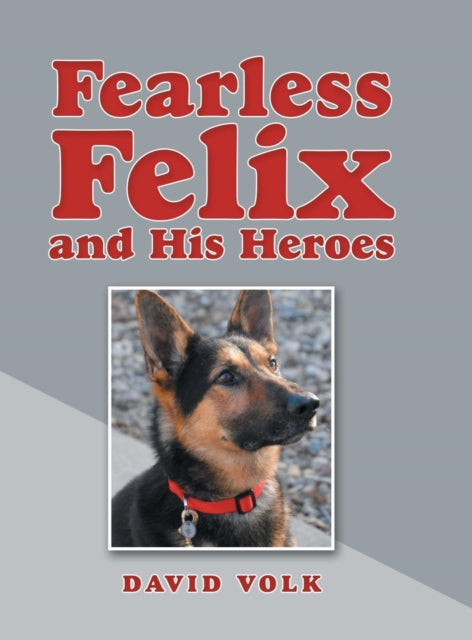 Book cover of: Fearless Felix and His Heroes. By: David Volk