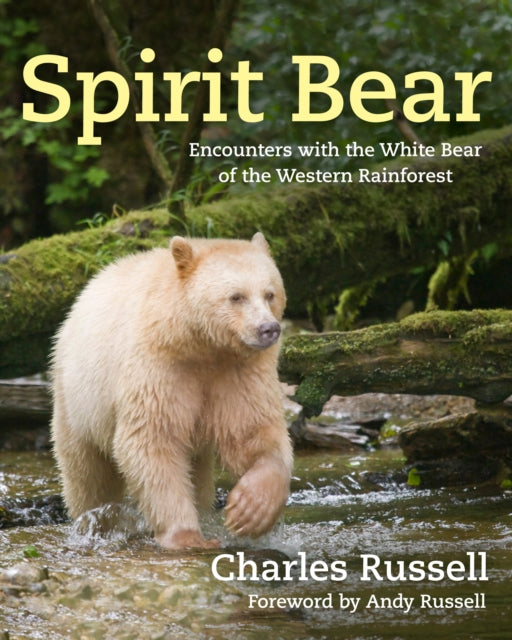 Book cover of: Spirit Bear. By: Charles Russell