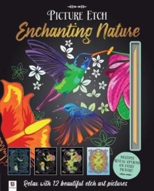 Book cover of: Picture Etch: Enchanting Nature