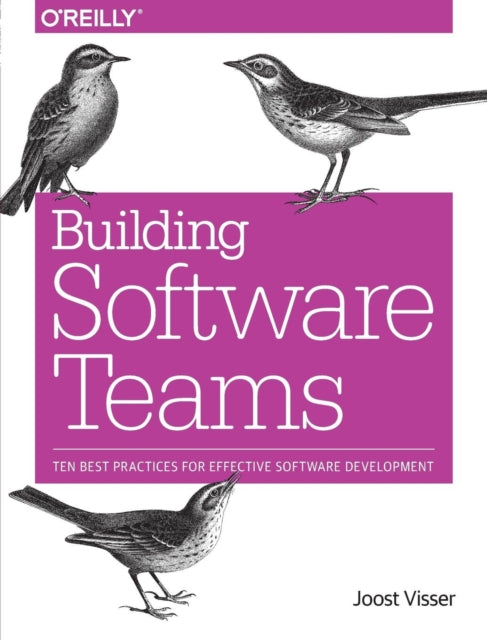 Book cover of: Building Software Teams. By: Joost Visser