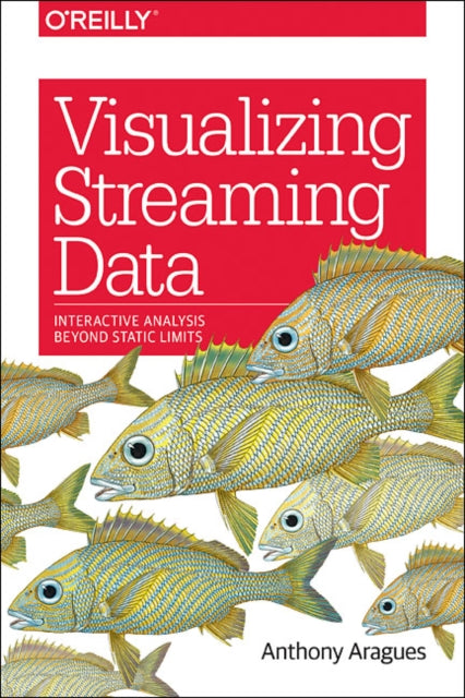 Book cover of: Visualizing Streaming Data. By: Anthony Aragues