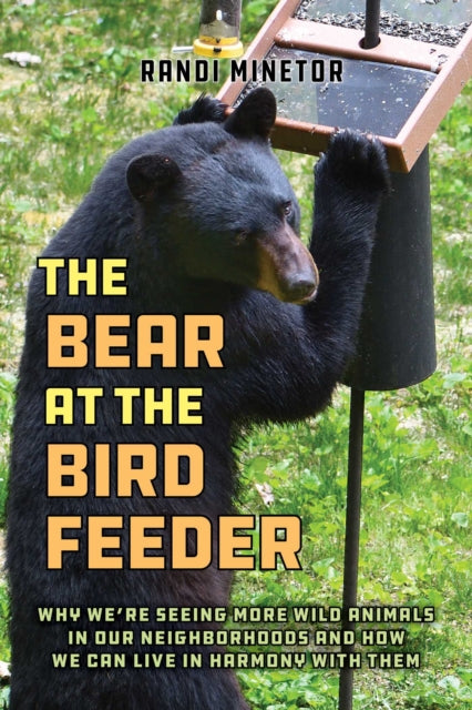 Book cover of: Bear at the Bird Feeder