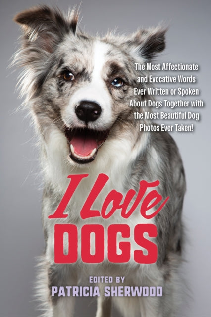 Book cover of: I Love Dogs