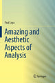 Book cover of: Amazing and Aesthetic Aspects of Analysis. By: Paul Loya