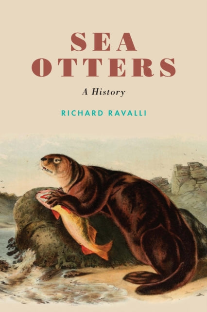 Book cover of: Sea Otters. By: Richard Ravalli