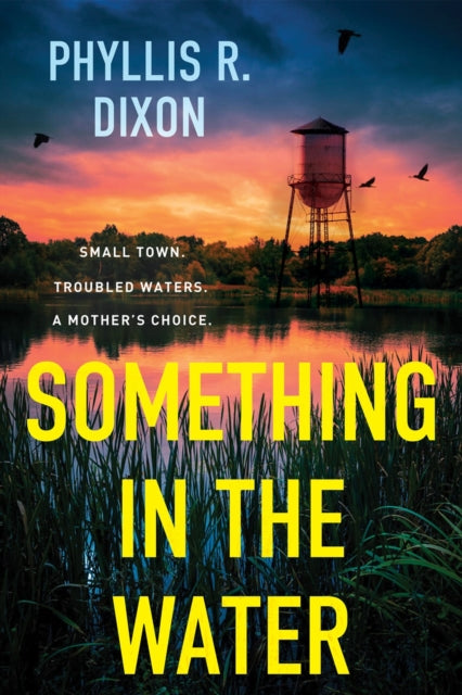 Book cover of: Something in the Water