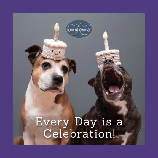 Sookie and Ivy Every Day Is a Celebration 9781497105270 Jani Oja