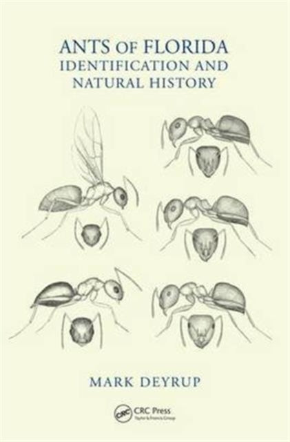 Book cover of: Ants of Florida. By: Mark Deyrup