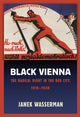 Book cover of: Black Vienna. By: Janek Wasserman