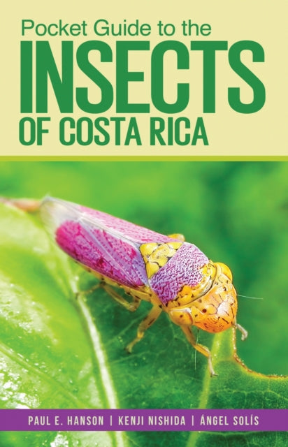 Book cover of: Pocket Guide to the Insects of Costa Rica. By: Paul E. Hanson