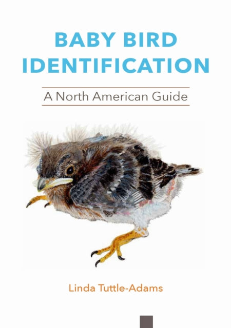 Book cover of: Baby Bird Identification. By: Linda Tuttle-Adams