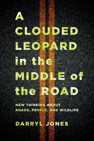 Clouded Leopard in the Middle of the Road