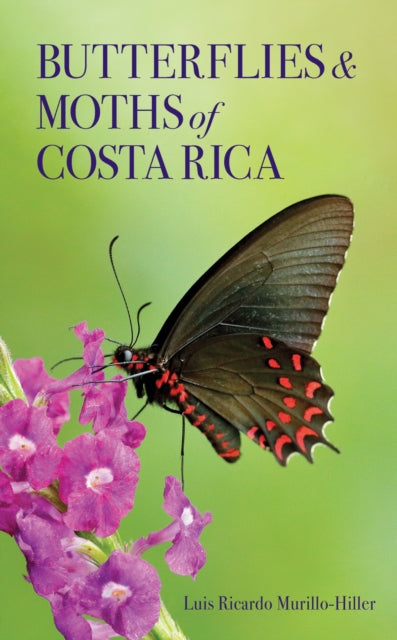Book cover of: Butterflies and Moths of Costa Rica