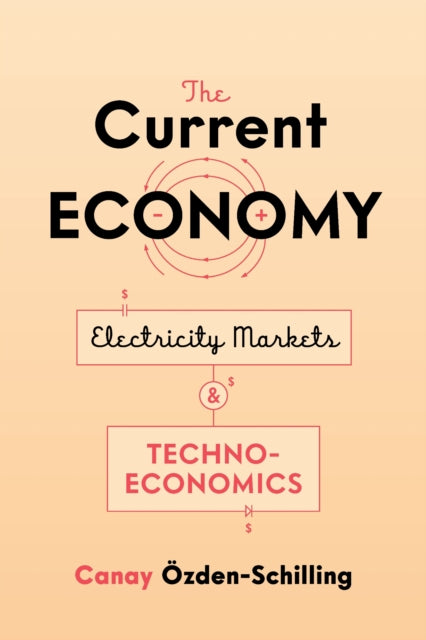 Book cover of: Current Economy. By: Canay Özden-Schilling