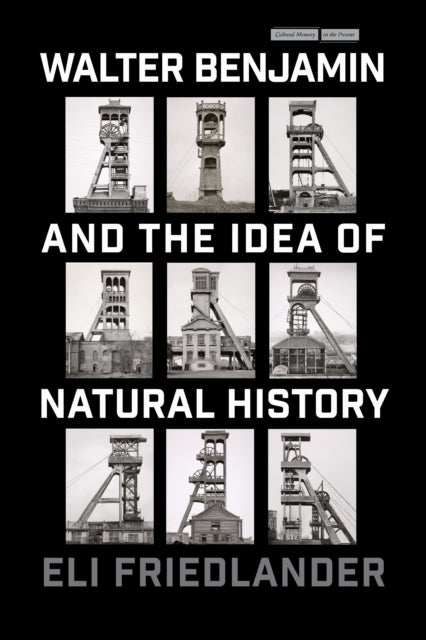 Book cover of: Walter Benjamin and the Idea of Natural History. By: Eli Friedlander