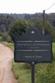 Book cover of: Nothing Happened. By: Susan A. Crane