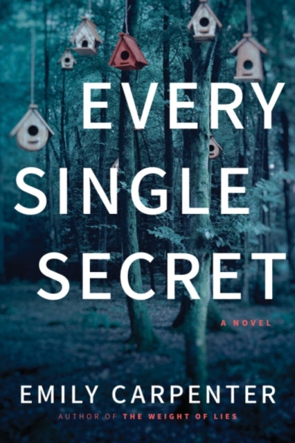 Book cover of: Every Single Secret. By: Emily Carpenter