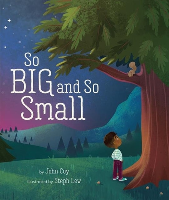 Book cover of: So Big and So Small. By: L. E. W. COY