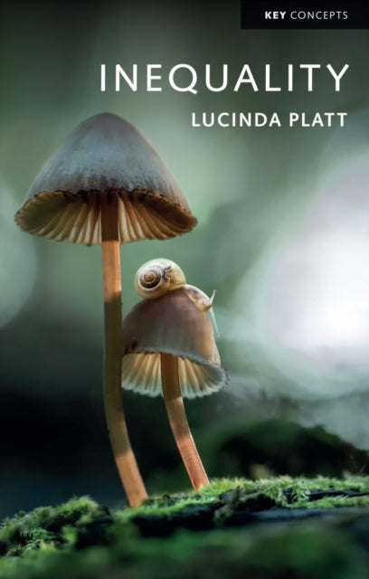 Book cover of: Inequality. By: Lucinda Platt