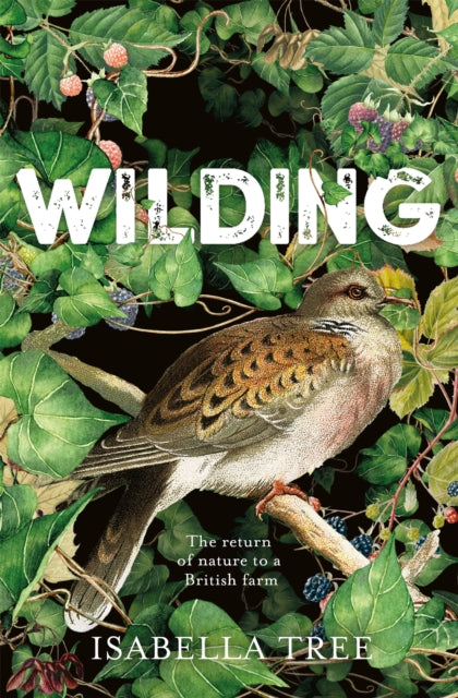 Book cover of: Wilding