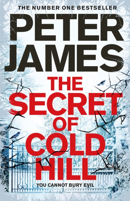 Secret of Cold Hill 9781509816231 James, Peter